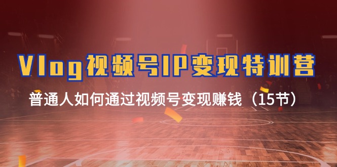 Vlog视频号IP变现特训营，普通人如何通过视频号变现赚钱（15节）-网创项目