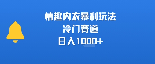 情趣内衣暴利玩法，冷门赛道，日入1k+-网创项目