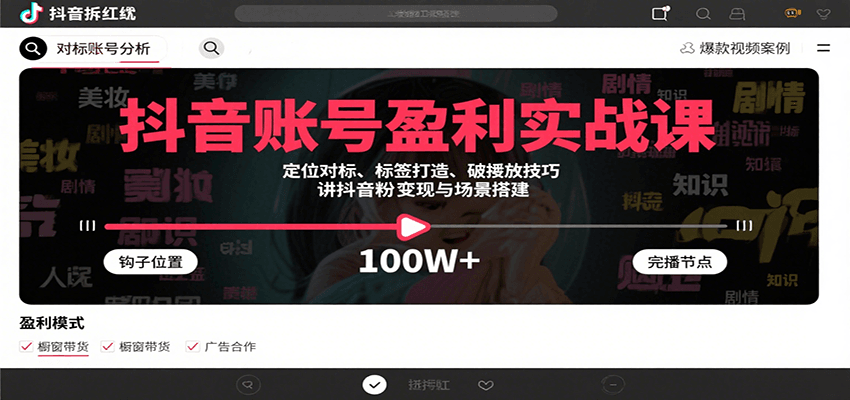 抖音账号盈利实战课，定位对标、标签打造、破播放技巧，讲涨粉变现与场景搭建-网创项目