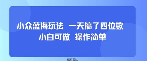 小众蓝海玩法 一天搞了四位数 小白可做 操作简单-网创项目