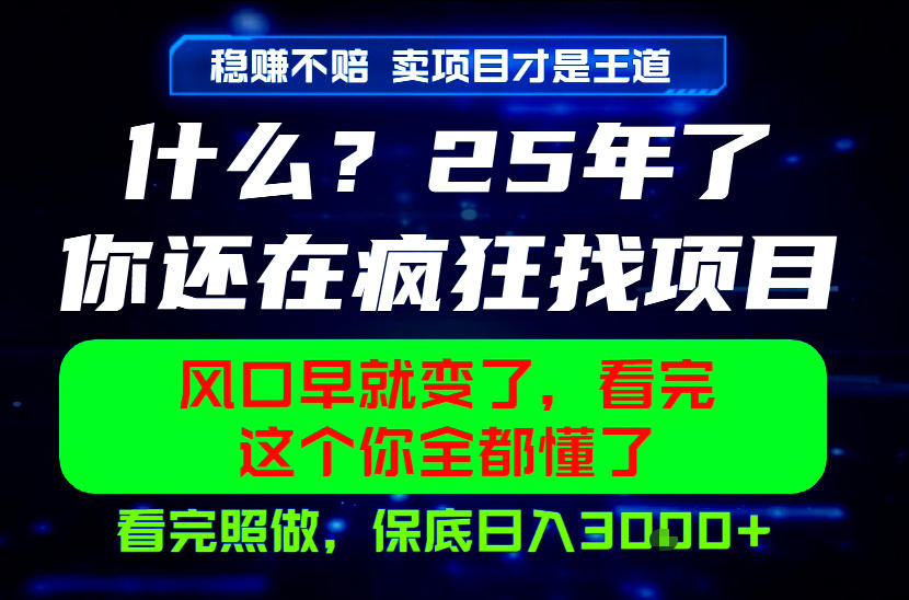 26年，请不要疯狂的找项目做了！卖项目才是真的稳賺不赔，看完照做，保底日入1k+【揭秘】-网创项目