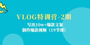 VLOG特训营第2期:写出10w+爆款文案,制作爆款视频(18节课)-网创项目