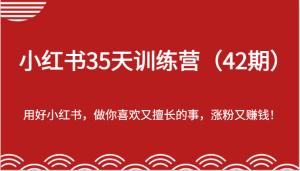 小红书35天训练营（42期）-用好小红书，做你喜欢又擅长的事，涨粉又赚钱！-网创项目