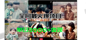 (11546期)全网爆火的AI让老照片动起来教程,蹭热点日赚3000+,内含免费工具一键…-网创项目