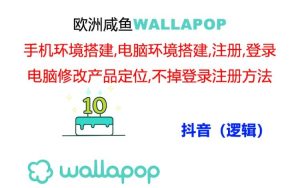 （11549期）wallapop整套详细闭环流程：最稳定封号率低的一个操作账号的办法-网创项目