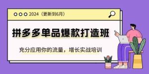 2024拼多多单品爆款打造班，充分应用你的流量，增长实战培训(更新6月)-网创项目