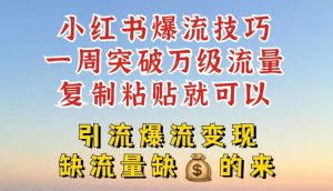 小红书爆流技巧，一周突破万级流量，复制粘贴就可以，引流爆流变现【揭秘】-网创项目