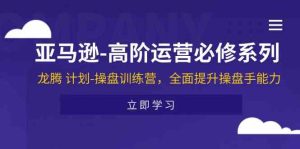 亚马逊高阶运营必修系列,龙腾计划-操盘训练营,全面提升操盘手能力-网创项目