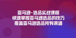 亚马逊选品实战课程,快速掌握亚马逊选品的技巧,覆盖亚马逊选品所有渠道-网创项目