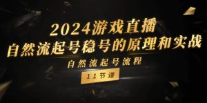 （11653期）2024游戏直播-自然流起号稳号的原理和实战，自然流起号流程（11节）-网创项目