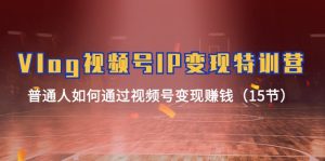 (11654期)Vlog 视频号IP变现特训营,普通人如何通过视频号变现赚钱(15节)-网创项目