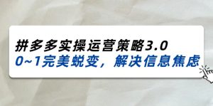 （11658期）2024_2025拼多多实操运营策略3.0，0~1完美蜕变，解决信息焦虑（38节）-网创项目