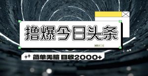 (11665期)撸爆今日头条 简单无脑操作 日收2000+-网创项目