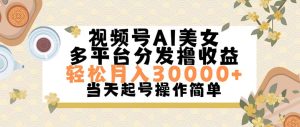 （11684期）视频号AI美女，轻松月入30000+,操作简单轻松上手-网创项目