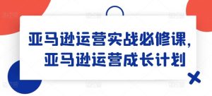 亚马逊运营实战必修课，亚马逊运营成长计划-网创项目