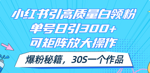 （11692期）小红书引高质量白领粉，单号日引300+，可放大操作，爆粉秘籍！30s一个作品-网创项目