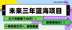 (11716期)未来三年,蓝海赛道,月入3万+-网创项目