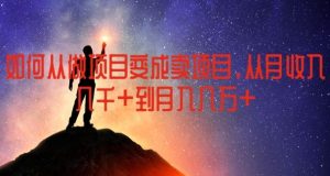 如何从做项目变成卖项目，从月收入几千到月入几万【揭秘】-网创项目