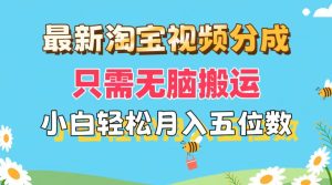 （11744期）最新淘宝视频分成，只需无脑搬运，小白也能轻松月入五位数，可矩阵批量…-网创项目