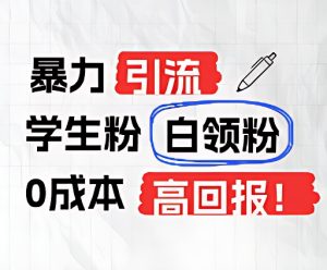 暴力引流学生粉白领粉,吊打以往垃圾玩法,0成本,高回报-网创项目