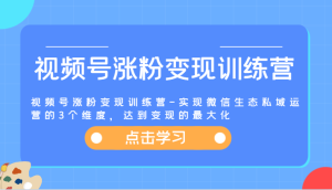 视频号涨粉变现训练营-实现微信生态私域运营的3个维度,达到变现的最大化-网创项目