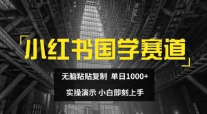 小红书国学赛道，无脑粘贴复制，单日1K，实操演示，小白即刻上手【揭秘】-网创项目
