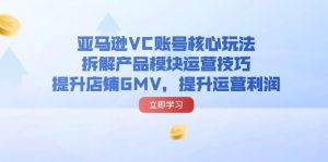 （11848期）亚马逊VC账号核心玩法，拆解产品模块运营技巧，提升店铺GMV，提升运营利润-网创项目