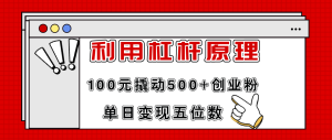 (11859期)利用杠杆100元撬动500+创业粉,单日变现5位数-网创项目