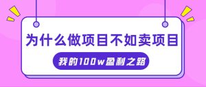 (11893期)抓住互联网创业红利期,我通过卖项目轻松赚取100W+-网创项目