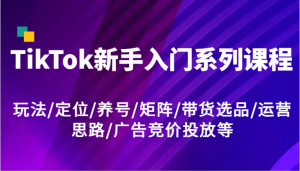 TikTok新手入门系列课程，玩法/定位/养号/矩阵/带货选品/运营思路/广告竞价投放等-网创项目