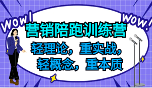 营销陪跑训练营,轻理论,重实战,轻概念,重本质,适合中小企业和初创企业的老板-网创项目
