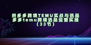 （11934期）拼多多跨境TEMU实战与选品，多多temu跨境选品运营实操（33节）-网创项目