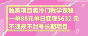 独家项目卖冷门教学课程一单88元单日变现5632元违规不封号长期项目【揭秘】-网创项目