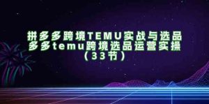 拼多多跨境TEMU实战与选品，多多temu跨境选品运营实操（33节）-网创项目