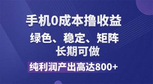 (11976期)纯利润高达800+,手机0成本撸羊毛,项目纯绿色,可稳定长期操作!-网创项目