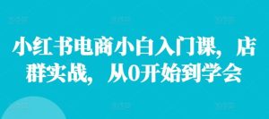 小红书电商小白入门课,店群实战,从0开始到学会-网创项目