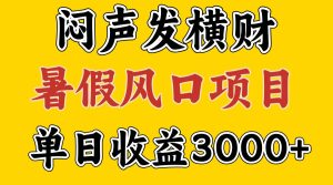 30天赚了7.5W 暑假风口项目，比较好学，2天左右上手-网创项目