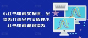 小红书电商实操课,全体系打造全方位梳理小红书电商逻辑体系-网创项目