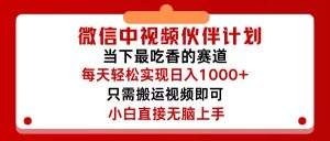 （12017期）微信中视频伙伴计划，仅靠搬运就能轻松实现日入500+，关键操作还简单，…-网创项目