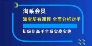 淘系会员初级到高手全系实战宝典【淘宝所有课程，全面分析对手】-网创项目