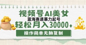 (12087期)视频号AI美女跳舞,轻松月入30000+,蓝海赛道,流量池巨大,起号猛,无…-网创项目
