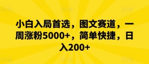 小白入局首选，图文赛道，一周涨粉5000+，简单快捷，日入200+-网创项目