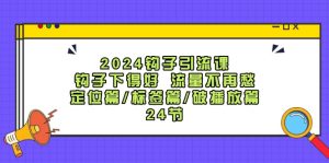 2024钩子引流课：钩子下得好流量不再愁，定位篇/标签篇/破播放篇/24节-网创项目