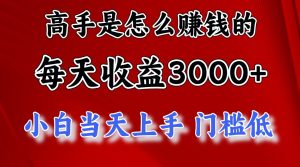 (12144期)1天收益3000+,月收益10万以上,24年8月份爆火项目-网创项目