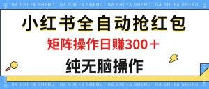 （12151期）最新小红书全自动抢红包，单号一天50＋  矩阵操作日入300＋，纯无脑操作-网创项目