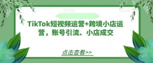 TikTok短视频运营+跨境小店运营,账号引流、小店成交-网创项目