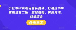 小红书IP变现运营私教课,打通红书IP变现任督二脉,底层逻辑、实操方法、战训结合-网创项目
