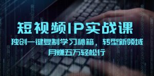 （12193期）短视频 IP实战课，独创一键复制学习秘籍，转战新领域，月赚五万轻松行-网创项目