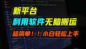 (12203期)B站平台用软件无脑搬运,月赚10000+,小白也能轻松上手-网创项目