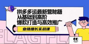 （12260期）拼多多运最新营秘籍：业绩 增长实战课，从基础到高阶，爆款打造与高效推广-网创项目